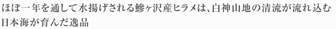 ほぼ一年を通して水揚げされる鰺ヶ沢産ヒラメは、白神山地の清流が流れ込む日本海が育んだ逸品